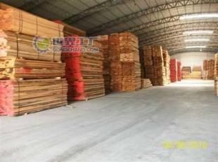 供应榉木家具材料大量现货_建筑建材